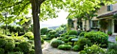WACHTER HOUSE  FRANCE - CLIPPED TOPIARY BY NICOLE DE VESIAN IN FRONT OF THE HOUSE