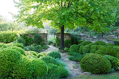 WACHTER_HOUSE__FRANCE__CLIPPED_TOPIARY_BY_NICOLE_DE_VESIAN_IN_FRONT_OF_THE_HOUSE