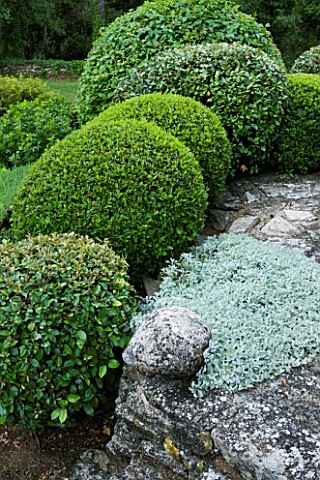 WACHTER_HOUSE__FRANCE___GREY_STONE_AND_CLIPPED_TOPIARY_SHAPES_BY_NICOLE_DE_VESIAN