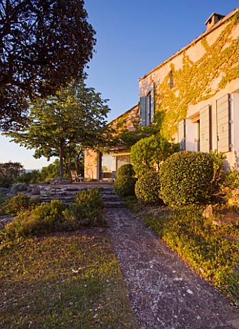WACHTER_HOUSE__FRANCE___CLIPPED_TOPIARY_BESIDE_THE_HOUSE_IN_EVENING_LIGHT