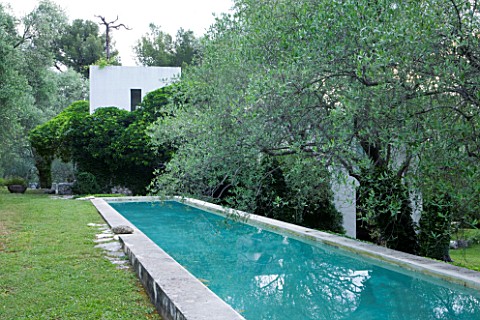 JACQUELINE_MORABITO__FRANCE__SWIMMING_POOL_AND_OLIVE_TREES__HOUSE_BEHIND