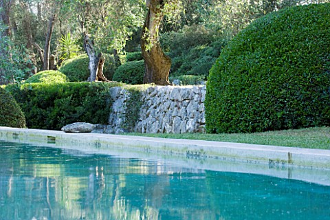 JACQUELINE_MORABITO__FRANCE__SWIMMING_POOL_AND_OLIVE_TREES