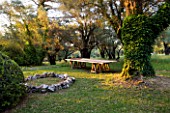 JACQUELINE MORABITO  FRANCE - DAWN LIGHT ON OLIVE TREE  LAWN  WOODEN TABLE AND STONE CIRCLE