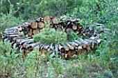 JACQUELINE MORABITO  FRANCE - HUGE LOGS PILED TOGETHER TO MAKE A CIRCULAR WALL IN THE WOODLAND