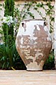 CORFU  GREECE: DESIGNER: DOMINIC SKINNER - MEDITTERANEAN STYLE GARDEN  - CREAMY TERRACOTTA CONTAINER WITH AGAPANTHUS