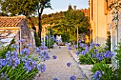 THE ROU ESTATE  CORFU  GREECE: DESIGNER: DOMINIC SKINNER - MEDITTERANEAN STYLE GARDEN - GRAVEL PATH AND AGAPANTHUS AT WITH PERGOLA AND WELL IN BACKGROUND