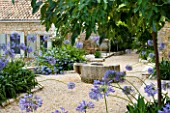 THE ROU ESTATE  CORFU  GREECE: DESIGNER: DOMINIC SKINNER - MEDITTERANEAN STYLE GARDEN - GRAVEL PATH AND AGAPANTHUS WITH WELL