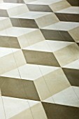 DESIGNER: ANNE FOWLER - THE KITCHEN - DETAIL OF THE FLOOR WITH CUBE PATTERNS