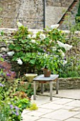 DESIGNER: ANNE FOWLER - VIEW DOWN SIDE OF THE HOUSE - WOODEN TABLE ON PATIO WITH HYDRANGEA QUERCIFOLIA
