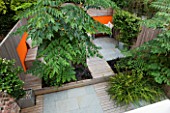 DESIGNERS WYNNIAT- HUSEY CLARKE: VIEW OVER MODERN  CONTEMPORARY GARDEN IN BRIGHTON WITH DECKING  ORANGE PANELS ON WALLS  OPHIOPOGON AND ARALIA