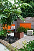 DESIGNERS WYNNIAT- HUSEY CLARKE: MODERN  CONTEMPORARY GARDEN IN BRIGHTON WITH DECKING  ORANGE PANELS ON WALLS  METAL WATER FEATURE  OPHIOPOGON AND ARALIA