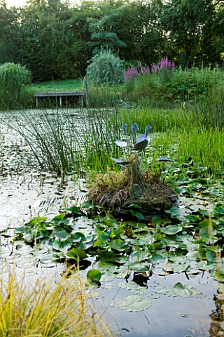 MOORS_MEADOW_GARDEN__NURSERY__HEREFORDSHIRE_THE_LAKE_AT_DAWN