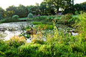 MOORS MEADOW GARDEN & NURSERY  HEREFORDSHIRE: THE LAKE AT DAWN