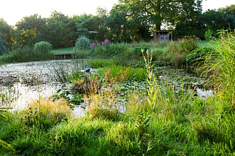 MOORS_MEADOW_GARDEN__NURSERY__HEREFORDSHIRE_THE_LAKE_AT_DAWN