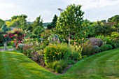 MEADOW FARM  WORCESTERSHIRE: LAWN JUNCTION WITH BORDER OF HERBACEOUS PLANTING WITH BETULA JACQUEMONTII