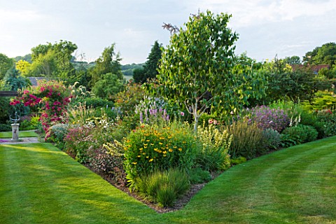 MEADOW_FARM__WORCESTERSHIRE_LAWN_JUNCTION_WITH_BORDER_OF_HERBACEOUS_PLANTING_WITH_BETULA_JACQUEMONTI