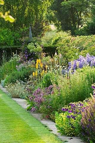 MEADOW_FARM__WORCESTERSHIRE_THE_LONG_BORDER__NORTH_SIDE_WITH_PURPLEYELLOW_THEMED_PERENNIAL_PLANTING
