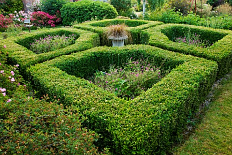 HOOK_END_FARM__BERKSHIRE_BOX_PARTERRE