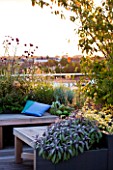 DESIGNER: CHARLOTTE ROWE  LONDON: ROOF GARDEN - A PLACE TO SIT - DECKED SEATING AREA WITH BLUE CUSHIONS AND HERBS. AMELANCHIER AND VERBENA BONARIENSIS  SAGEDECKS, DECKING, FORMAL, TOWN, CITY, CONTEMPORARY,