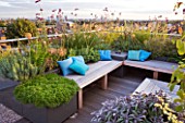 DESIGNER: CHARLOTTE ROWE  LONDON: ROOF GARDEN - A PLACE TO SIT - DECKED SEATING AREA WITH BLUE CUSHIONS AND HERBS - SAGE  CAMOMILE  VERBENA BONARIENSIS  ALLIUMS, DECKS, DECKING, FORMAL, TOWN, CITY, CONTEMPORARY