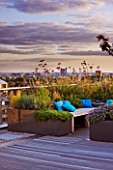 DESIGNER: CHARLOTTE ROWE  LONDON: ROOF GARDEN - A PLACE TO SIT - DECKED SEATING AREA WITH BLUE CUSHIONS AND HERBS - SAGE  CAMOMILE  VERBENA BONARIENSIS  ALLIUMS, DECKS, DECKING, FORMAL, TOWN, CITY, CONTEMPORARY
