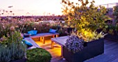 DESIGNER: CHARLOTTE ROWE  LONDON: ROOF GARDEN - A PLACE TO SIT - DECKED SEATING AREA WITH LIGHTING - BLUE CUSHIONS AND HERBS - SAGE  CAMOMILE  VERBENA BONARIENSIS  ALLIUMS, DECKS, DECKING, FORMAL, TOWN, CITY, CONTEMPORARY, LIGHTS, LIGHTING