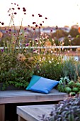DESIGNER: CHARLOTTE ROWE  LONDON: ROOF GARDEN - A PLACE TO SIT - DECKED SEATING AREA WITH BLUE CUSHIONS AND HERBS - SAGE  VERBENA BONARIENSIS  ALLIUMS  GAURA,DECKS, DECKING, FORMAL, TOWN, CITY, CONTEMPORARY,