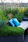 DESIGNER: CHARLOTTE ROWE  LONDON: ROOF GARDEN - A PLACE TO SIT - DECKED SEATING AREA WITH BLUE CUSHIONS AND HERBS - SAGE  CAMOMILE  VERBENA BONARIENSIS  ALLIUMS, SEATS, BENCHES