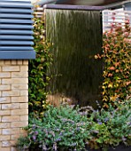 DESIGNER: CHARLOTTE ROWE  LONDON: ROOF GARDEN - WATER FEATURE - WATER WALL SURROUNDED WITH CLIMBERS, WATERFALL, WATER, FALL, MODERN, CONTEMPORARY