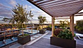 DESIGNER: CHARLOTTE ROWE  LONDON: ROOF GARDEN - WOODEN PERGOLA WITH CONTAINERS PLANTED WITH OLIVE TREES DECKS, DECKING, SCREENING