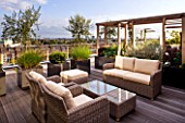 DESIGNER: CHARLOTTE ROWE  LONDON: ROOF GARDEN - A PLACE TO SIT - WICKER FURNITURE AND WOODEN PERGOLA WITH CONTAINERS PLANTED WITH OLIVE TREES  PENNISETUM HAMELYN AND  PINUS MUGO,  DECKS, DECKING, SCREENING