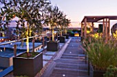 DESIGNER: CHARLOTTE ROWE  LONDON: ROOF GARDEN - DECKED WALKWAY PAST WOODEN PERGOLA AND CONTAINERS PLANTED WITH PENNISETUM HAMELYN AND OLIVE TREES, DECKS, DECKING, LIGHTS, LIGHTING