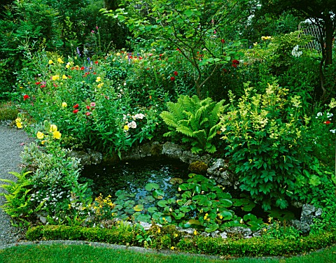 HERBACEOUS_BORDER__WILDLIFE_POND_AT_THE_CROSSING_HOUSE__SHEPRETH__HERTFORDSHIRE_AS_20035