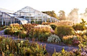 RHS GARDEN  WISLEY  SURREY - THE GLASSHOUSE AT DAWN WITH PERENNIAL PLANTING BY TOM STUART SMITH