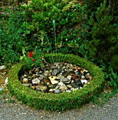 WATER FEATURE: SMALL FOUNTAIN AND COBBLES SURROUNDED BY BOX HEDGING.