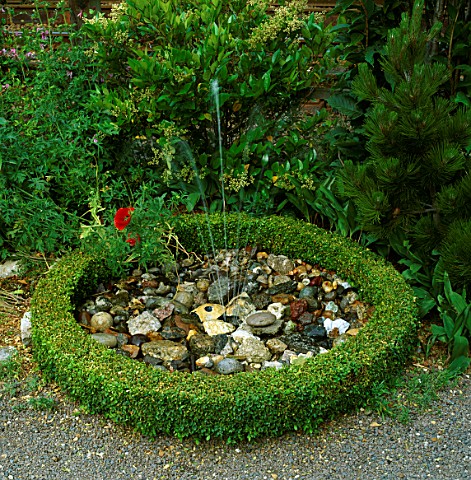 WATER_FEATURE_SMALL_FOUNTAIN_AND_COBBLES_SURROUNDED_BY_BOX_HEDGING