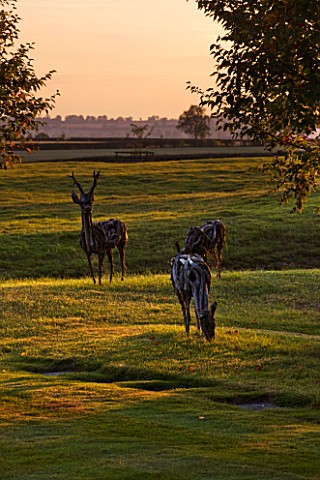 THE_OLD_RECTORY__HASELBECH__NORTHAMPTONSHIRE_EVENING_SUNLIGHT_ON_LAWN_AND_ROE_DEER_MADE_OUT_OF_DRIFT