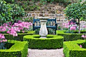 THE OLD RECTORY  HASELBECH  NORTHAMPTONSHIRE: THE KNOT GARDEN WITH SUNDIAL  BOX EDGED BEDS PLANTED WITH NERINE BOWDENII