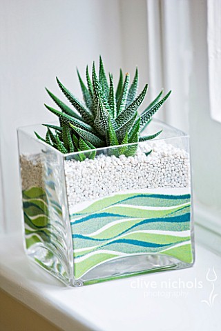 DESIGNER_CLARE_MATTHEWS_HOUSE_PLANT__SUCCULENT_IN_GLASS_CONTAINER_WITH_LAYERS_OF_COLOURED_SAND