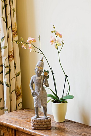 DESIGNER_CLARE_MATTHEWS_HOUSE_PLANT__CYMBIDIUM_ORCHID_IN_BREAM_CONTAINER_ON_TABLE