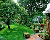 VIEW DOWN GARDEN FROM BACK OF HOUSE  WITH WELL-KEPT LAWN & SMALL GREENHOUSE ON LEFT.  DESIGNER: MALLEY TERRY