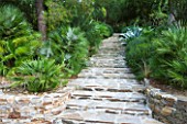 DESIGNER: JEAN-LAURENT FELIZIA  FRANCE: BAUTIFUL STONE STEPS LEADING UP GARDEN WITH AGAVE AND SHADE PLANTING