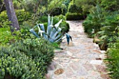 DESIGNER: JEAN-LAURENT FELIZIA  FRANCE: BEAUTIFUL STEPS WITH AGAVE AND SHADE PLANTING