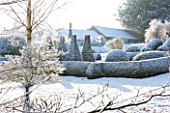 PETTIFERS  OXFORDSHIRE: GARDEN IN SNOW IN WINTER - VIEW TOWARDS THE PARTERRE WITH CLIPPED TOPIARY SHAPES