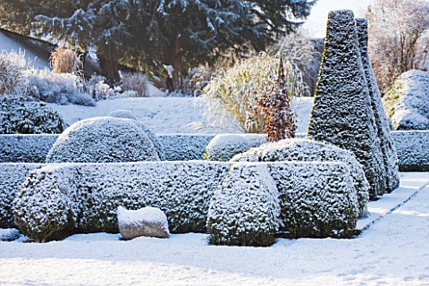 PETTIFERS__OXFORDSHIRE_GARDEN_IN_SNOW_IN_WINTER__VIEW_TOWARDS_THE_PARTERRE_WITH_CLIPPED_TOPIARY_SHAP
