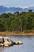 CORSICA - LAGOON AND PINE TREES WITH MOUNTAINS IN THE BACKGROUND NEAR PORTO VECCHIO