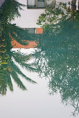 DESIGNERS_ERIC_OSSART_AND_ARNAUD_MAURIERES__MOROCCO_AL_HOSSOUN__THE_MAIN_POOLCANAL_REFLECTING_A_SOLA