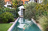 DESIGNERS ERIC OSSART AND ARNAUD MAURIERES  MOROCCO: AL HOSSOUN - THE MAIN POOL/CANAL REFLECTING A SOLANUM  PALM AND AGAVE DESMETTIANA