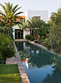 DESIGNERS ERIC OSSART AND ARNAUD MAURIERES  MOROCCO: AL HOSSOUN - THE MAIN POOL/CANAL REFLECTING A SOLANUM  PALM AND AGAVE DESMETTIANA