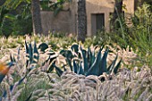 DESIGNERS ERIC OSSART AND ARNAUD MAURIERES  MOROCCO: DAR IGDAD - DRY GARDEN WITH BORDER OF PENNISETUM SETACEUM AND AGAVES
